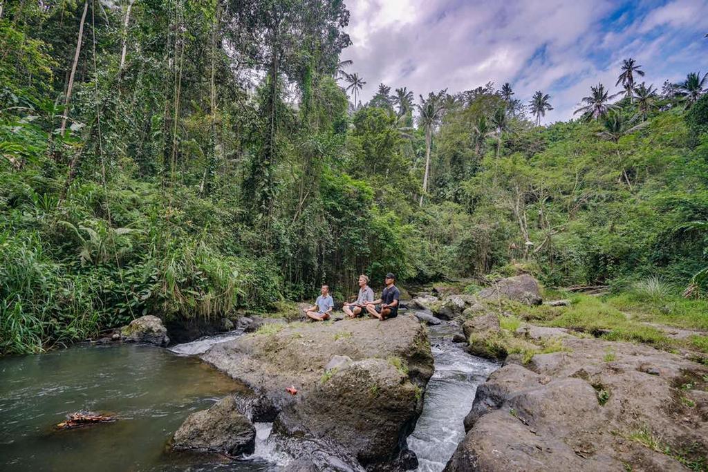 Villa Santai Ubud
