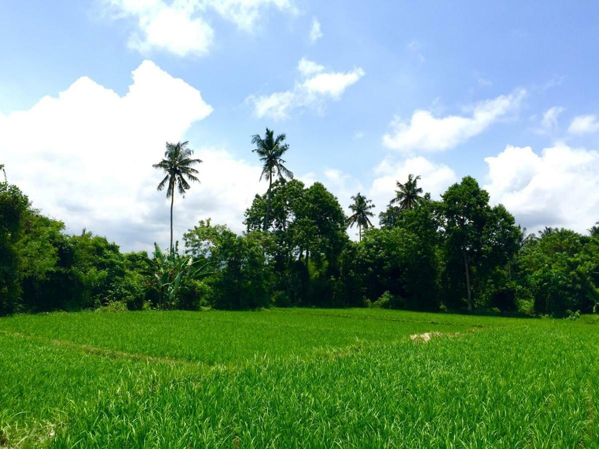 Villa Santai Ubud